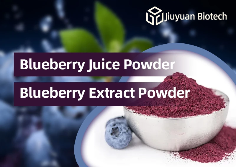 Blueberry Juice Powder VS Blueberry Extract Powder Blueberry Juice Powder VS Blueberry Extract Powder