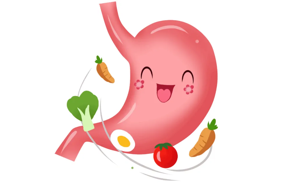 Promotes digestive health Promotes digestive health